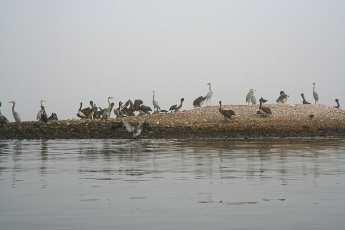 138 IMG_2256