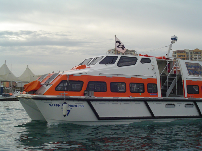 213 DSC03068