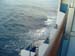 021 DSC02977