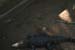 166 IMG_2287