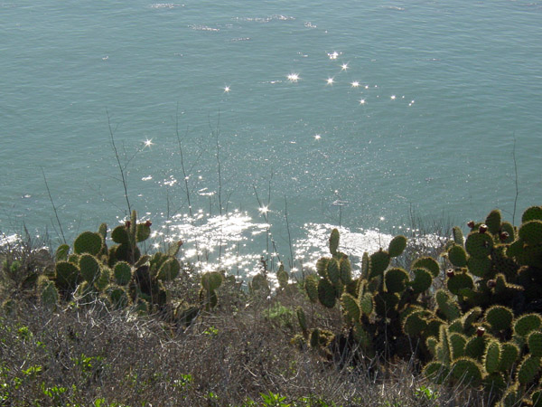 CA coast3