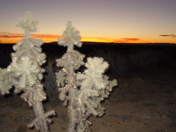 CA desert sunrise
