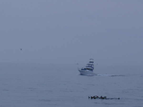 CA foggy boat
