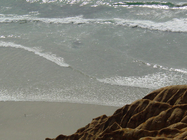 CA torrey pines3