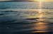 Hawaii sunset water