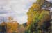 MA fall foliage