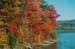 PA fall foliage