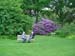 UK chaps in garden