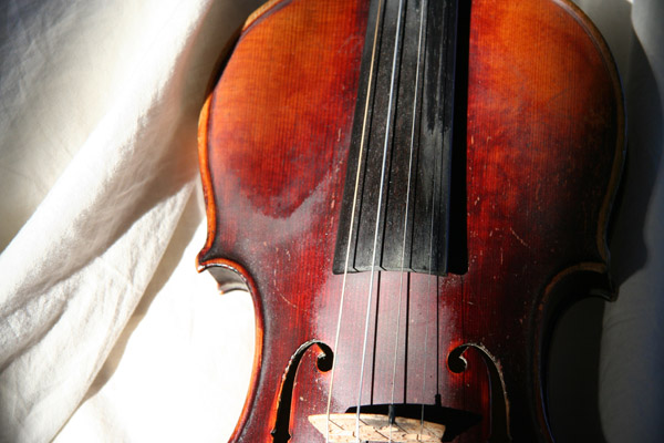 violin left side