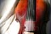 violin left side
